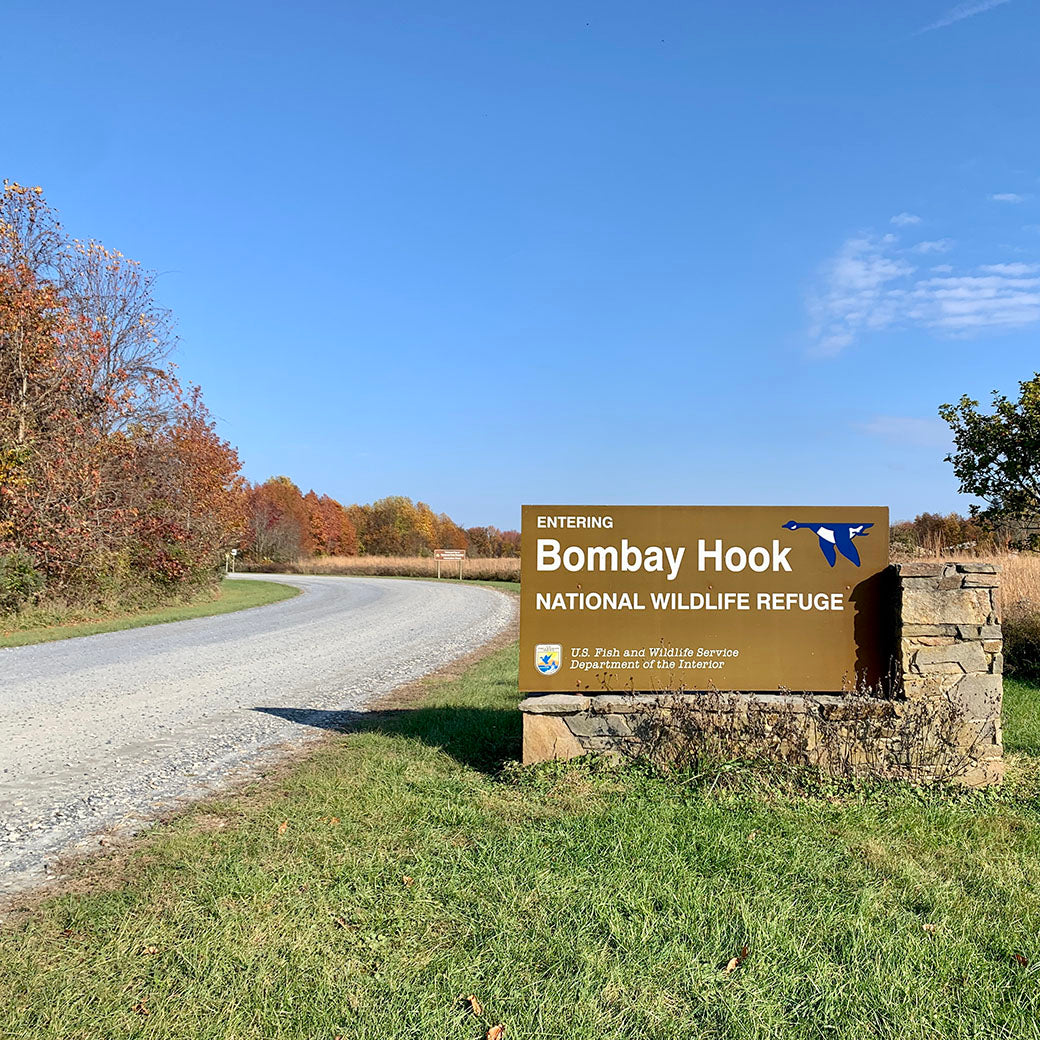 Bombay Hook Wildlife National Reserve